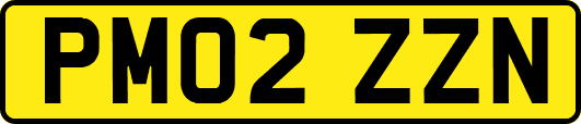 PM02ZZN