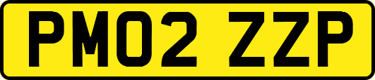 PM02ZZP