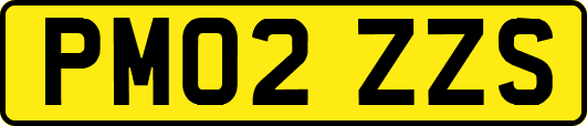 PM02ZZS