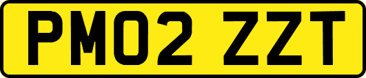 PM02ZZT