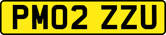 PM02ZZU