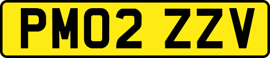PM02ZZV