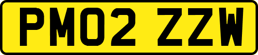 PM02ZZW