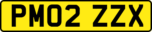 PM02ZZX