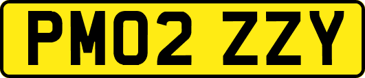 PM02ZZY