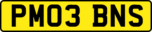 PM03BNS