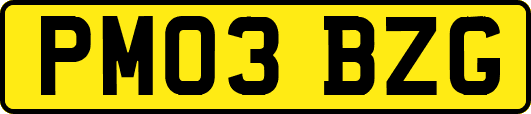 PM03BZG