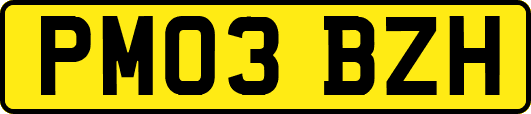 PM03BZH