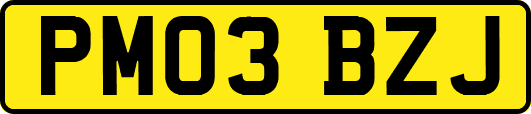 PM03BZJ