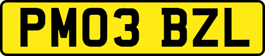 PM03BZL