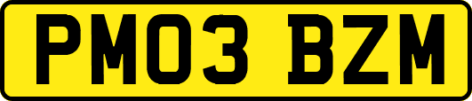 PM03BZM