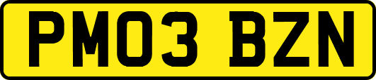 PM03BZN