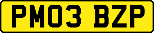 PM03BZP