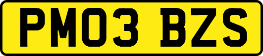 PM03BZS