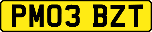 PM03BZT