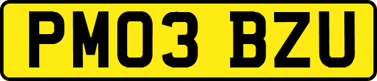 PM03BZU