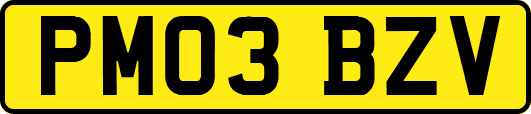 PM03BZV