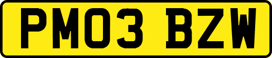 PM03BZW