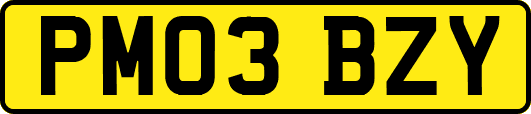 PM03BZY