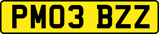PM03BZZ