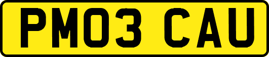 PM03CAU