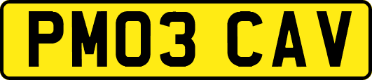 PM03CAV