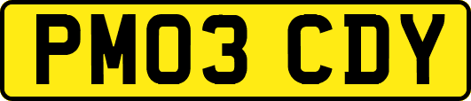 PM03CDY