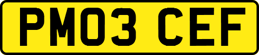 PM03CEF