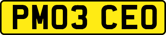 PM03CEO