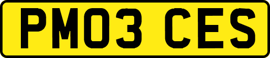 PM03CES