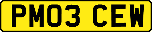 PM03CEW