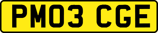 PM03CGE
