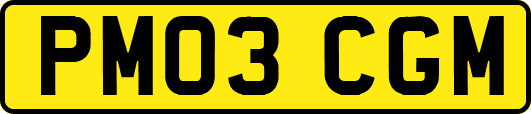 PM03CGM