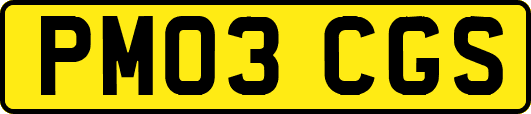 PM03CGS