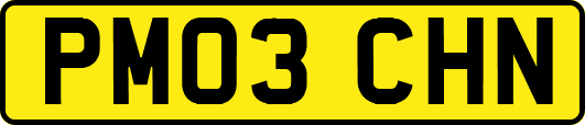 PM03CHN