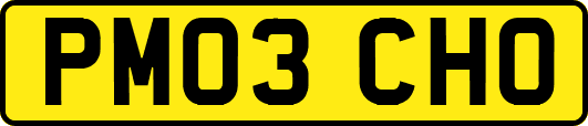 PM03CHO