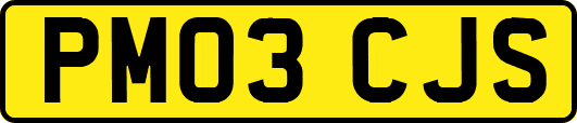 PM03CJS