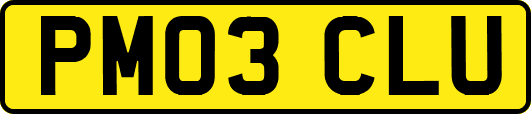PM03CLU