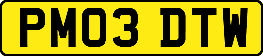PM03DTW