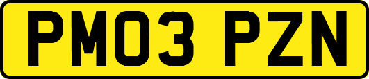 PM03PZN
