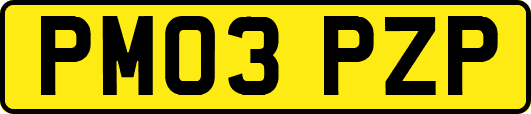 PM03PZP
