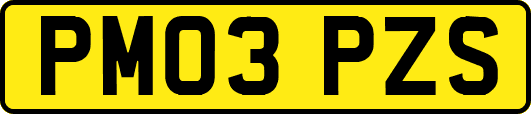 PM03PZS