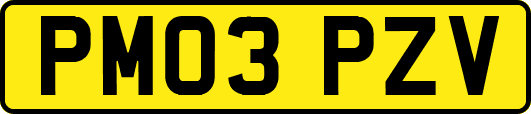 PM03PZV