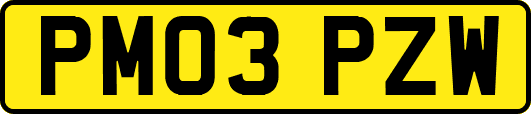 PM03PZW