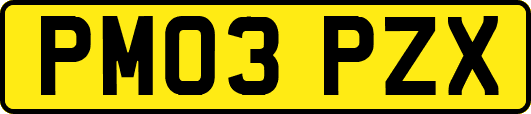 PM03PZX