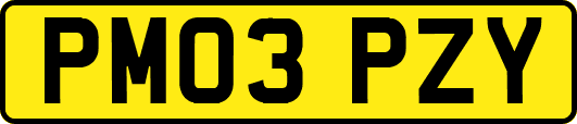 PM03PZY
