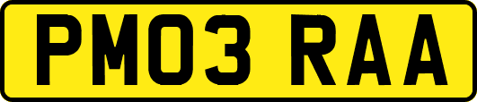 PM03RAA