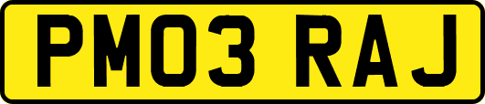 PM03RAJ