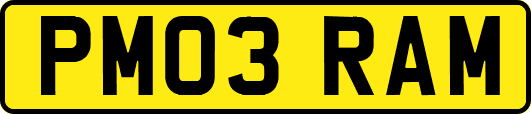 PM03RAM