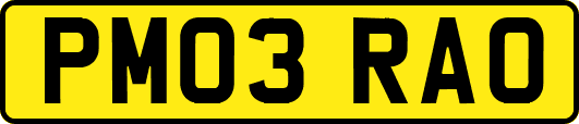 PM03RAO
